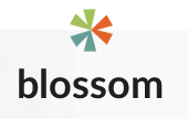 blossomshoessc.com